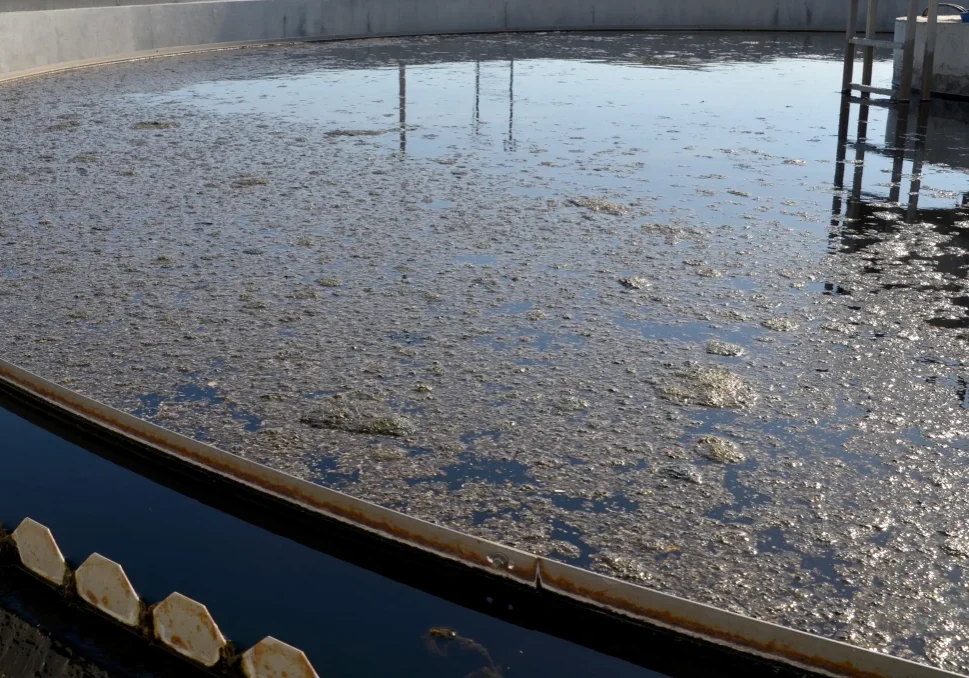 Clarifier Upset High Res (1)